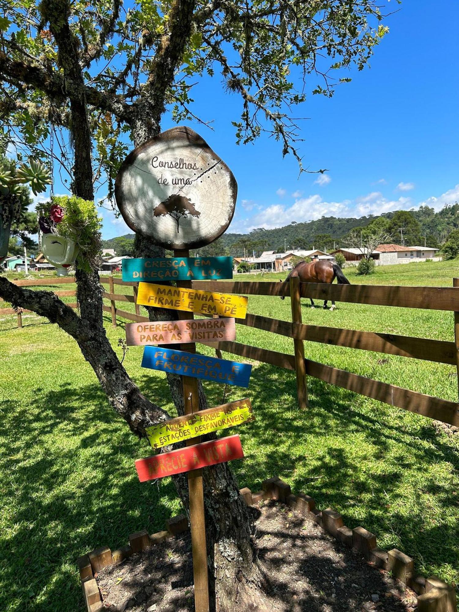 Toca Da Coruja Hospedagem - Urubici - Sc Экстерьер фото